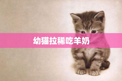 幼貓拉稀吃羊奶