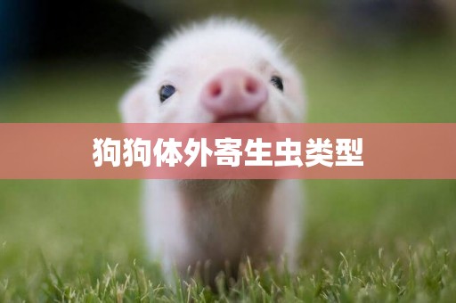 狗狗體外寄生蟲類型
