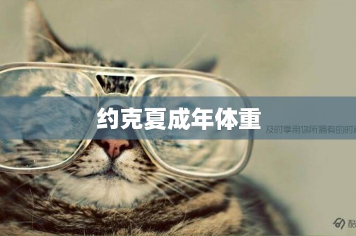 約克夏成年體重