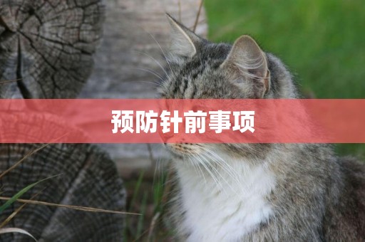 預防針前事項