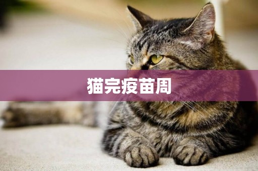 貓完疫苗周