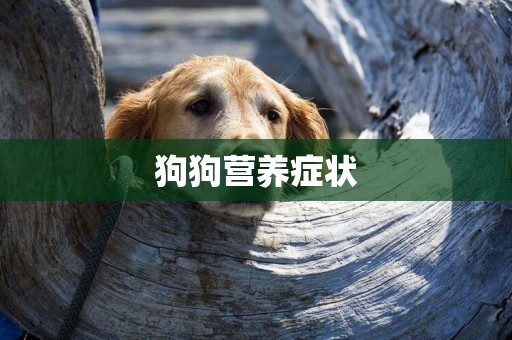 狗狗營養癥狀