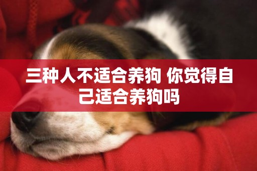 三種人不適合養狗 你覺得自己適合養狗嗎 三種人不適合養狗 你覺得自己適合養狗嗎