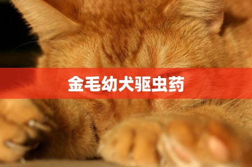 金毛幼犬驅蟲藥