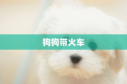狗狗帶火車