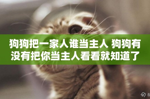 狗狗把一家人誰當主人 狗狗有沒有把你當主人看看就知道了