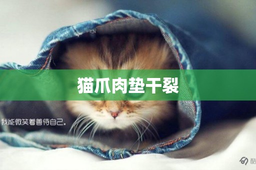 貓爪肉墊干裂