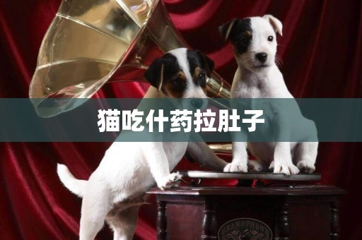 貓吃什藥拉肚子