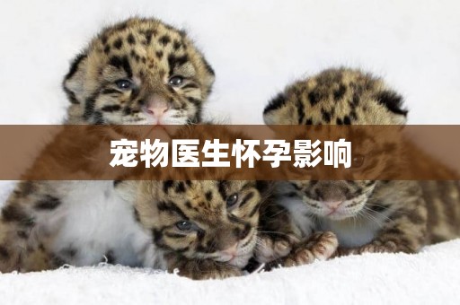 寵物醫生懷孕影響