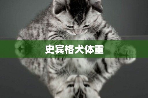 史賓格犬體重