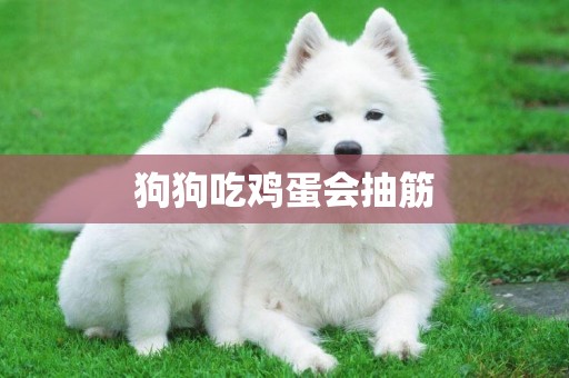 狗狗吃雞蛋會抽筋