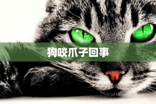 狗咬爪子回事