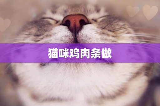 貓咪雞肉條做