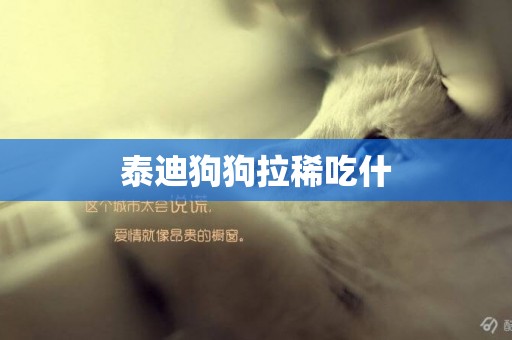 泰迪狗狗拉稀吃什