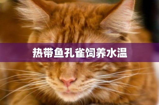 熱帶魚孔雀飼養水溫