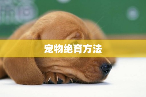 寵物絕育方法
