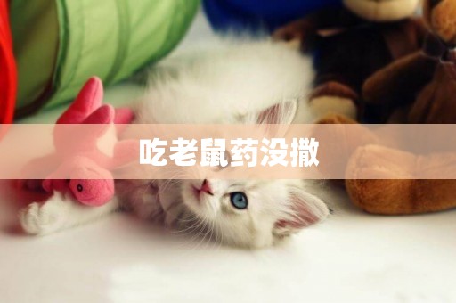 吃老鼠藥沒撒