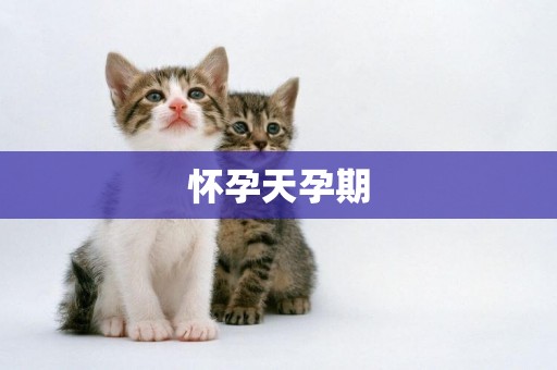 懷孕天孕期
