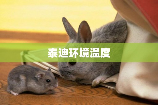 泰迪環境溫度
