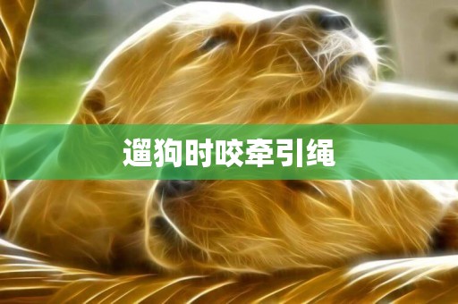 遛狗時咬牽引繩