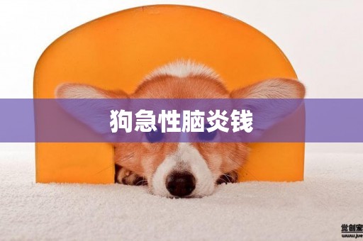 狗急性腦炎錢