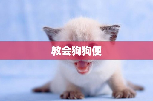 教會狗狗便