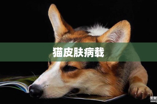 貓皮膚病載