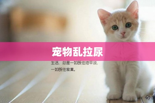 寵物亂拉尿