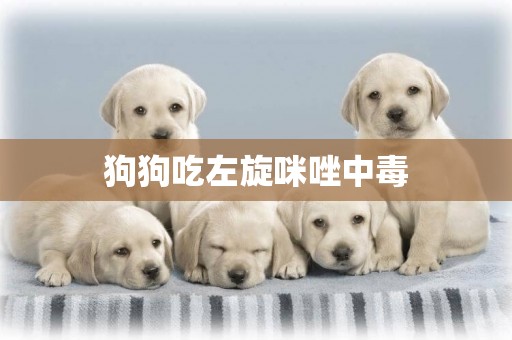 狗狗吃左旋咪唑中毒