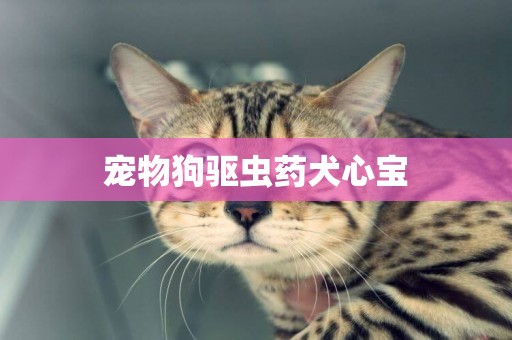 寵物狗驅蟲藥犬心寶