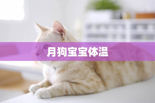 月狗寶寶體溫
