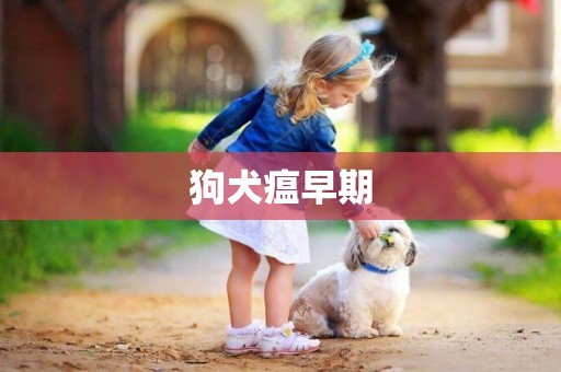 狗犬瘟早期