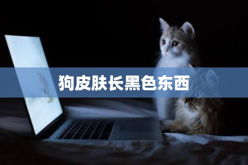 狗皮膚長黑色東西