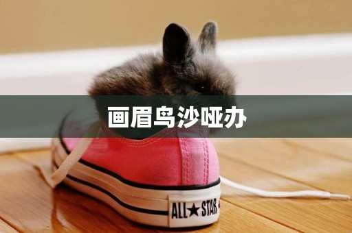 畫眉鳥沙啞辦