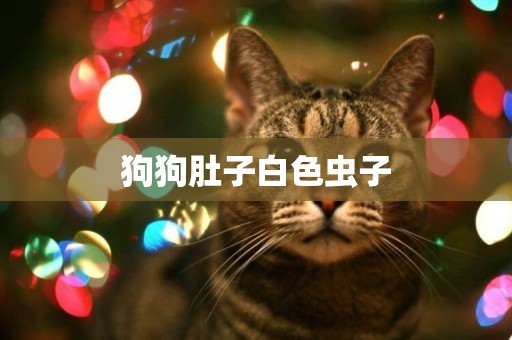 狗狗肚子白色蟲子