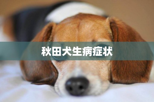 秋田犬生病癥狀