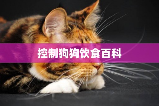 控制狗狗飲食百科