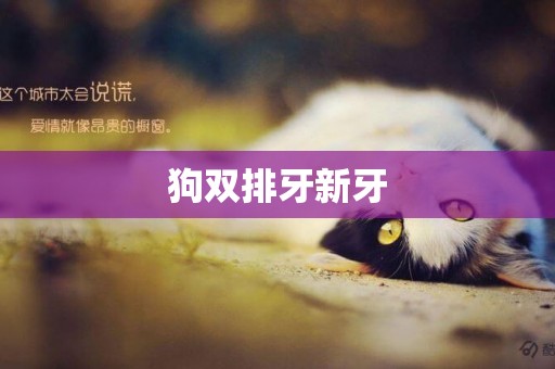狗雙排牙新牙