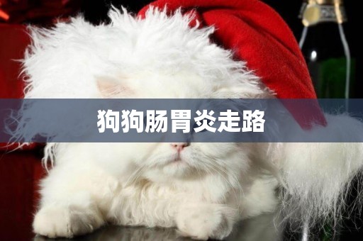 狗狗腸胃炎走路
