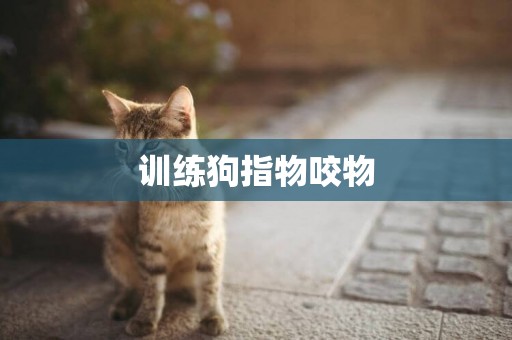 訓練狗指物咬物