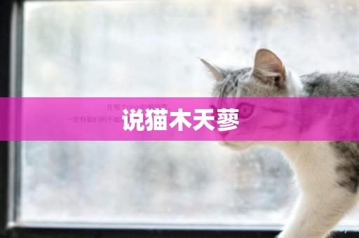 說貓木天蓼