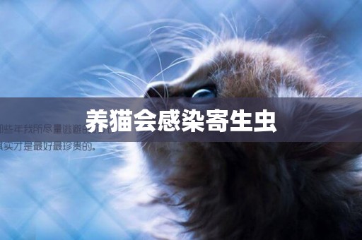 養貓會感染寄生蟲