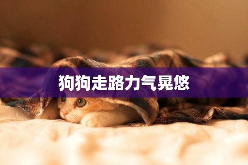 狗狗走路力氣晃悠