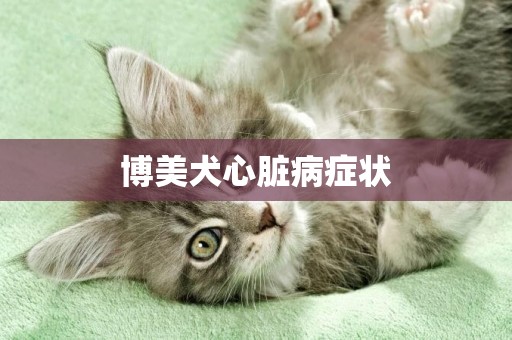 博美犬心臟病癥狀