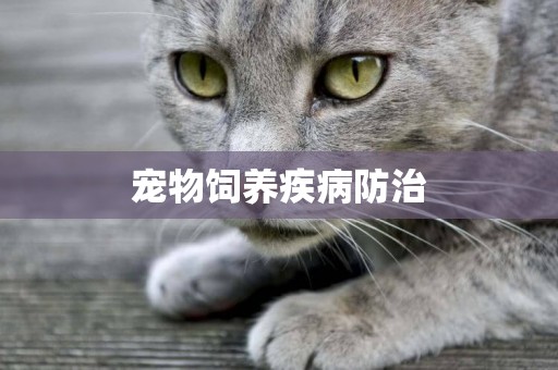 寵物飼養疾病防治