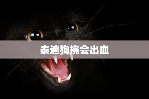 泰迪狗撓會出血
