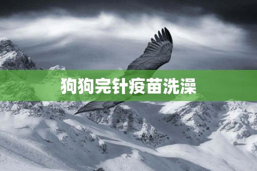 狗狗完針疫苗洗澡