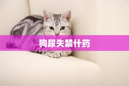 狗尿失禁什藥