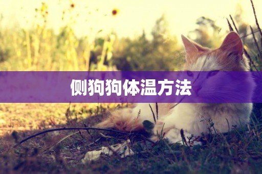 側狗狗體溫方法