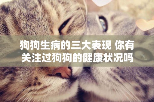 狗狗生病的三大表現 你有關注過狗狗的健康狀況嗎